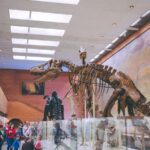people standing near dinosaur skeleton